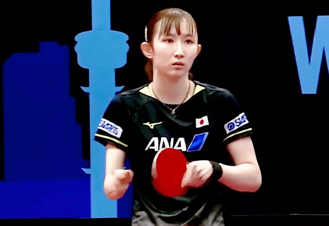 其中包含蓬 其中包含蓬