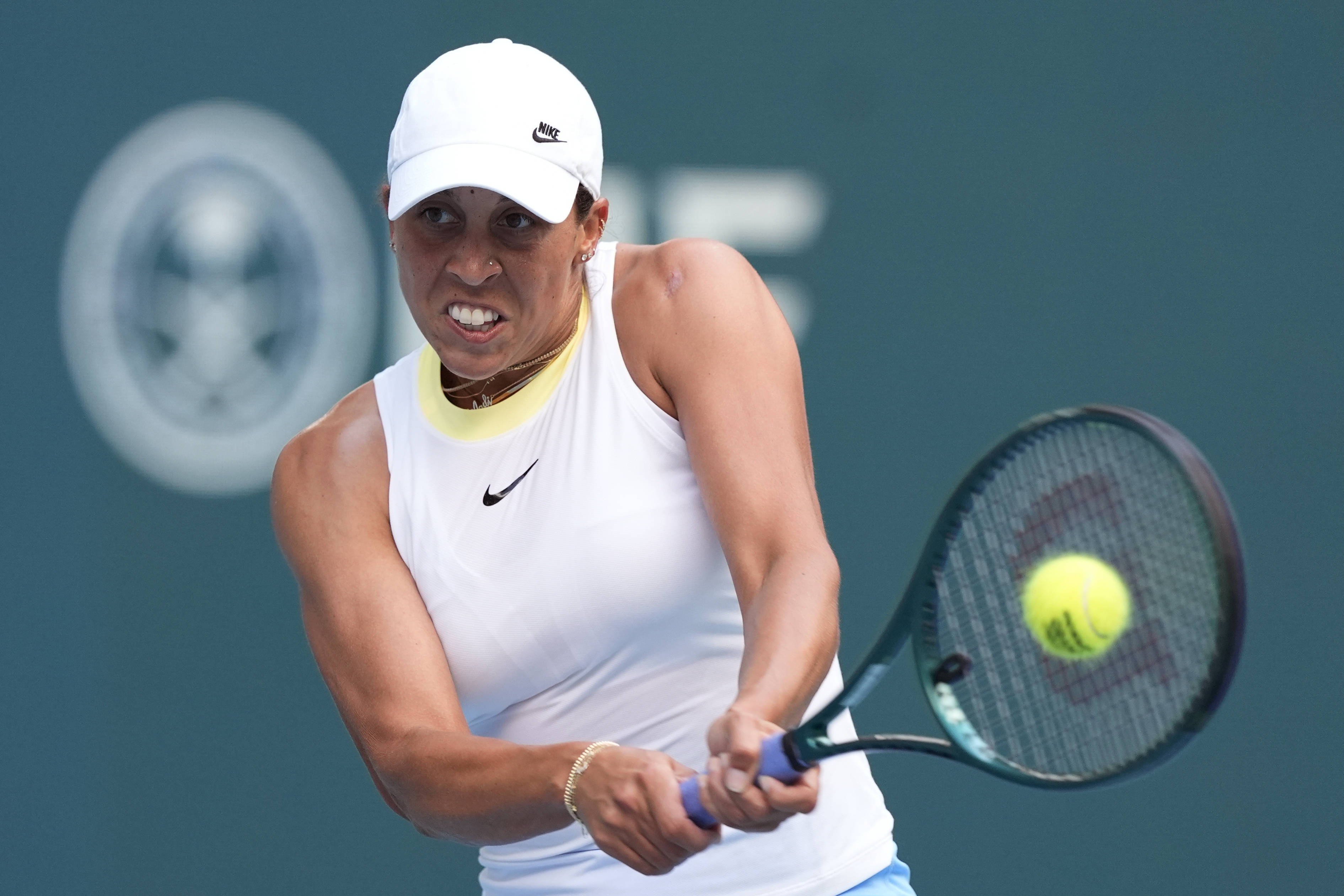 他们吸取了 他们吸取了