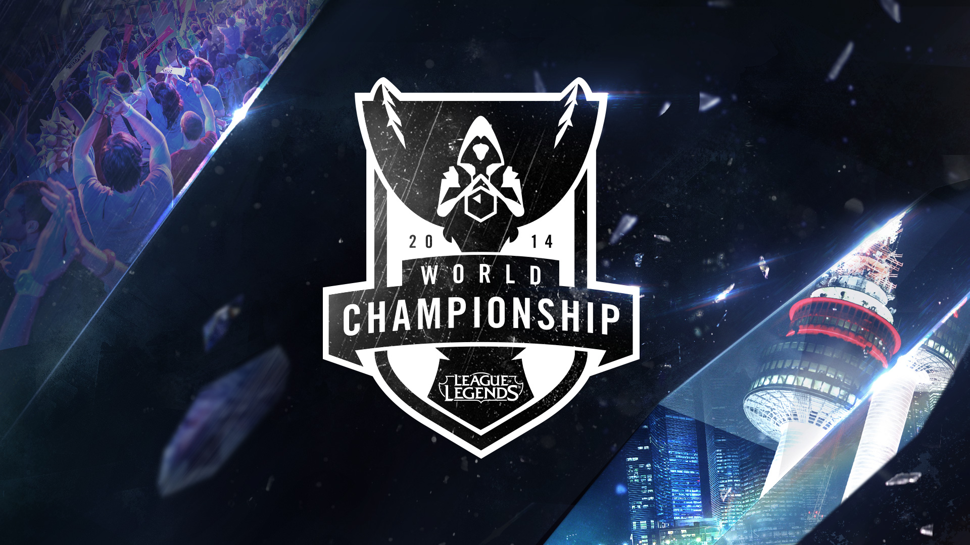 纪律与团队 纪律与团队