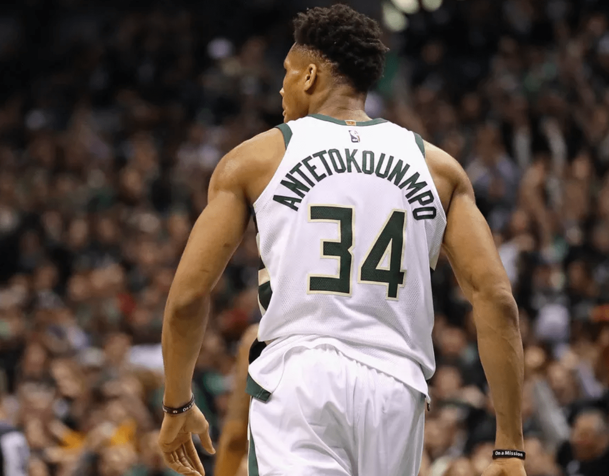 五六年级参 五六年级参