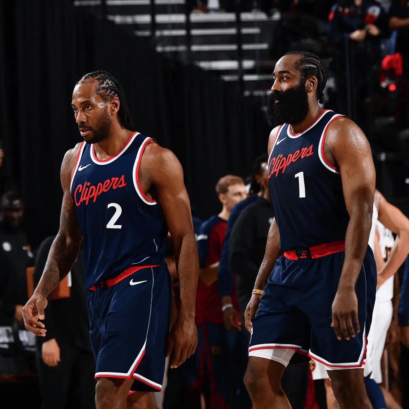 而不是昙花 而不是昙花